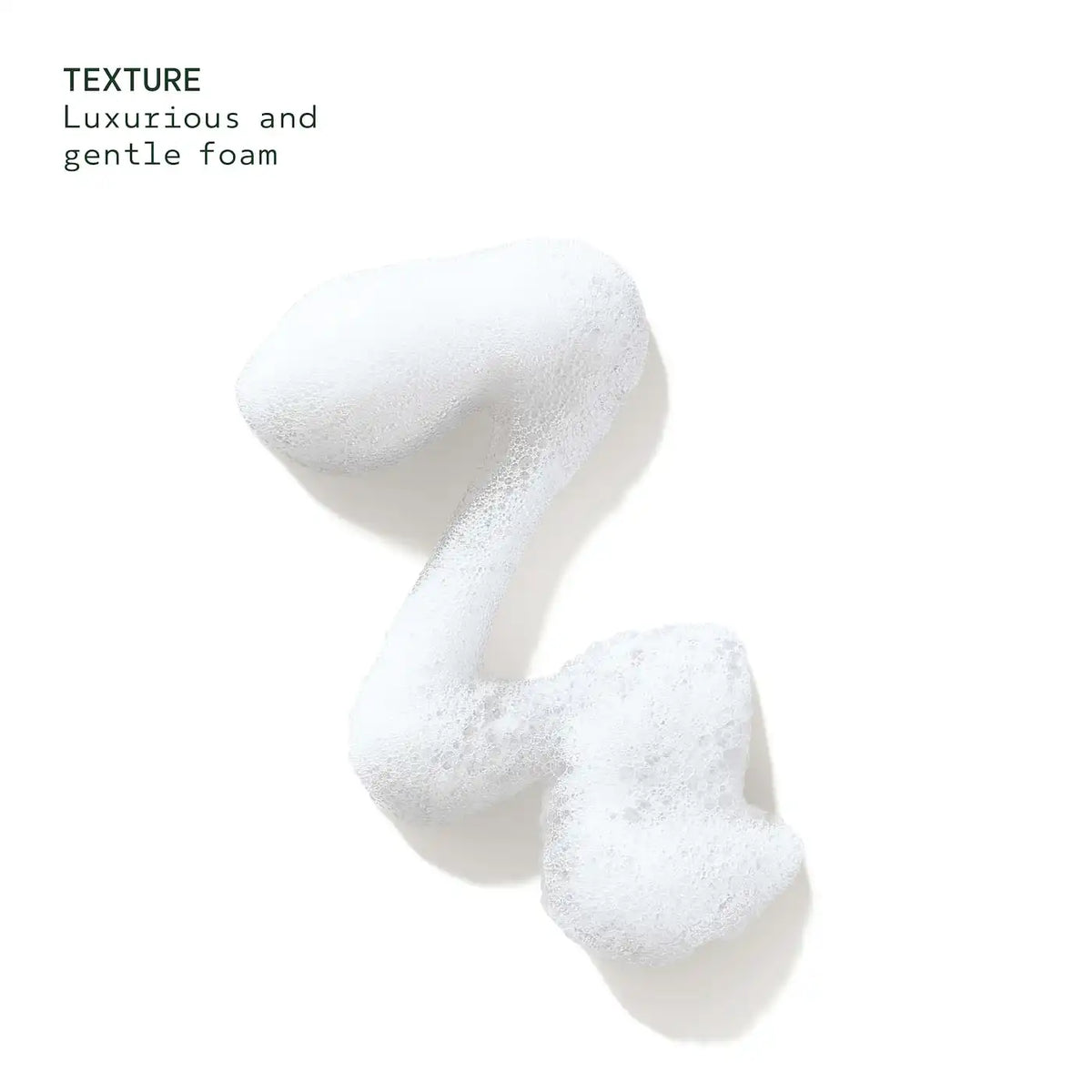 Beautifying Foaming Hand Wash